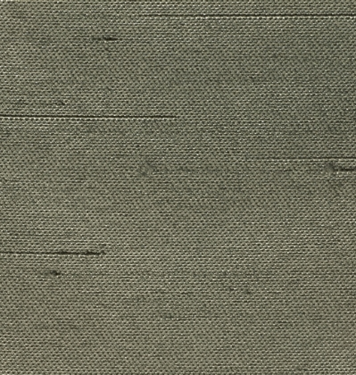 Olive (163)